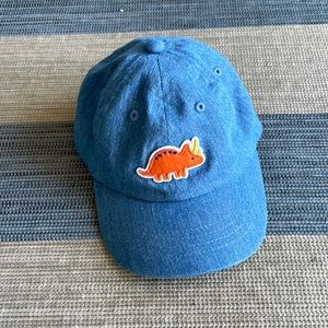 Dino Carter’s Hat (3-9 months)